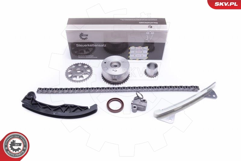 Timing Chain Kit